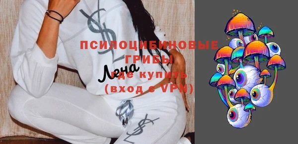 трава Ахтубинск