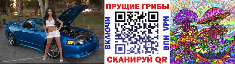 Галлюциногенные грибы Cubensis  закладка  Дудинка 